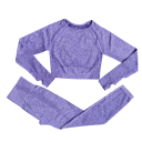 Dames sportoutfit Leggings en shirt met lange mouwen Effen fitnessoutfit van nylon, polyester en spandex 5