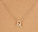 Dames sterrenbeeld ketting D31 11