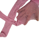 Dames visnetpanty&#39;s met diamantjes en strass steentjes. Glanzende nylonkousen met kristallen. Modieuze visnetkousen voor feestjes. 7