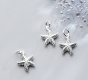 Dames zeester hanger D834 4