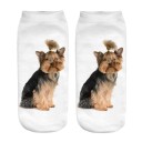 Damesokker med hundeprint 2