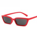 Damesolbriller E1276 9