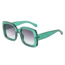 Damesolbriller E1695 8
