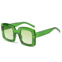 Damesolbriller E2057 8