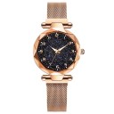 Dameur E2416 5