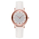 Dameur E2423 12