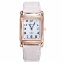 Dameur E2433 8