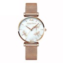 Dameur E2444 9