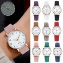 Dameur E2462 3