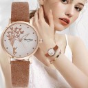 Dameur E2463 1