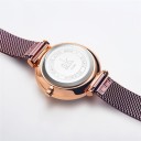 Dameur E2467 3