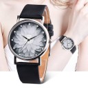 Dameur E2477 3