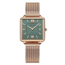 Dameur E2483 4