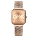 Dameur E2483 7