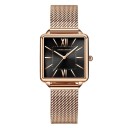 Dameur E2483 8