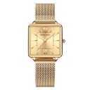 Dameur E2483 9