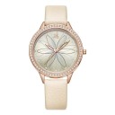 Dameur E2494 8