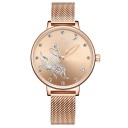 Dameur E2524 9