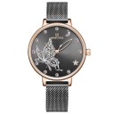 Dameur E2524 6