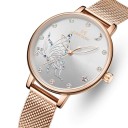 Dameur E2524 1