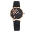 Dameur E2537 8