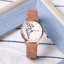 Dameur E2537 5