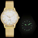 Dameur E2567 5