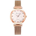 Dameur R137 7