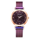Dameur R137 3