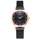 Dameur R137 1