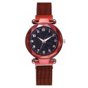 Dameur R140 13