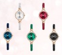 Dameur T1556 1