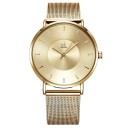 Dameur T1619 2