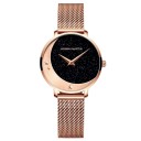 Dameur T1641 4