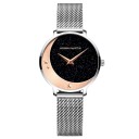 Dameur T1641 3