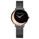 Dameur T1641 2