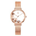 Dameur T1697 4