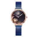 Dameur T1697 2