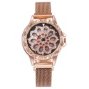 Dameur T1709 7