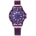 Dameur T1709 4