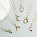 Damhalsband med bokstaven D124 1