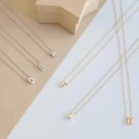 Damhalsband med bokstaven D397 1