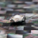 Damhalsband med skal D464 1