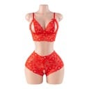 Damsk lace set of underwear open bra with cutouts and bows and transparent panties with open crotch 3
