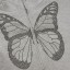 Dámská mikina s motýlem šedá P2457 3