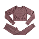 Dámska športová súprava Legíny a tričko s dlhým rukávom Jednofarebná fitness súprava z nylonu, polyesteru a spandexu 6