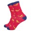 Dámské barevné ponožky Rebeca 4