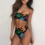 Dámske bikiny P1289 9