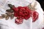 Dámske džínsové kraťasy s ružami J1083 11
