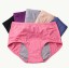 Dámské menstruační kalhotky - 3 ks 1
